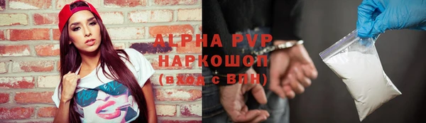 стаф Аркадак