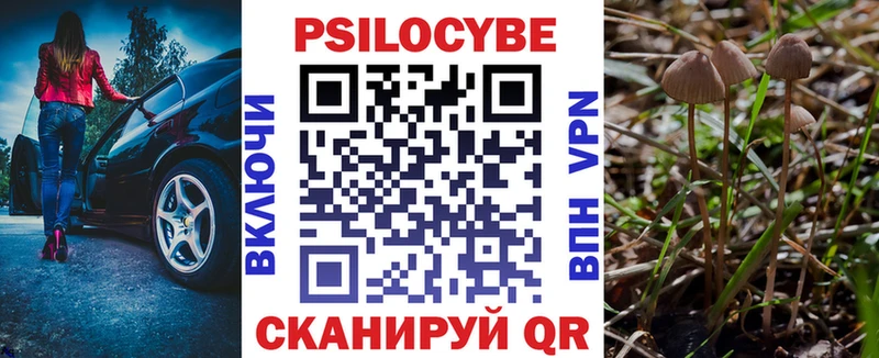 Псилоцибиновые грибы Psilocybe  Каменск-Шахтинский 